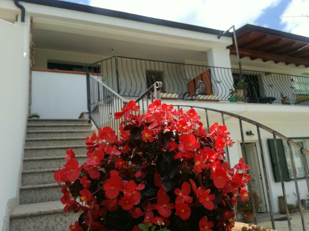 דירות לוצוראי Il Giardino מראה חיצוני תמונה